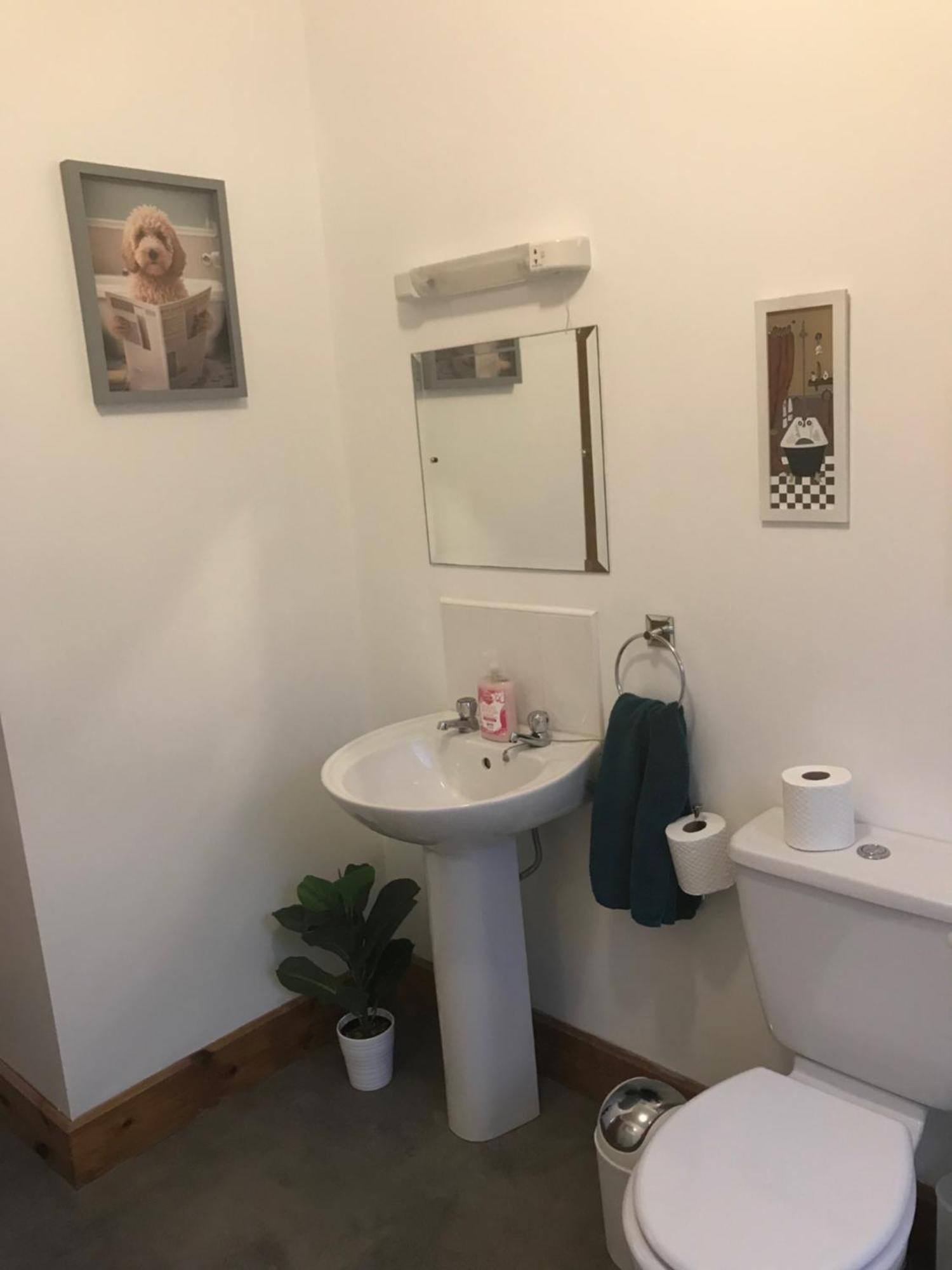 Westport Retreat Apartment מראה חיצוני תמונה