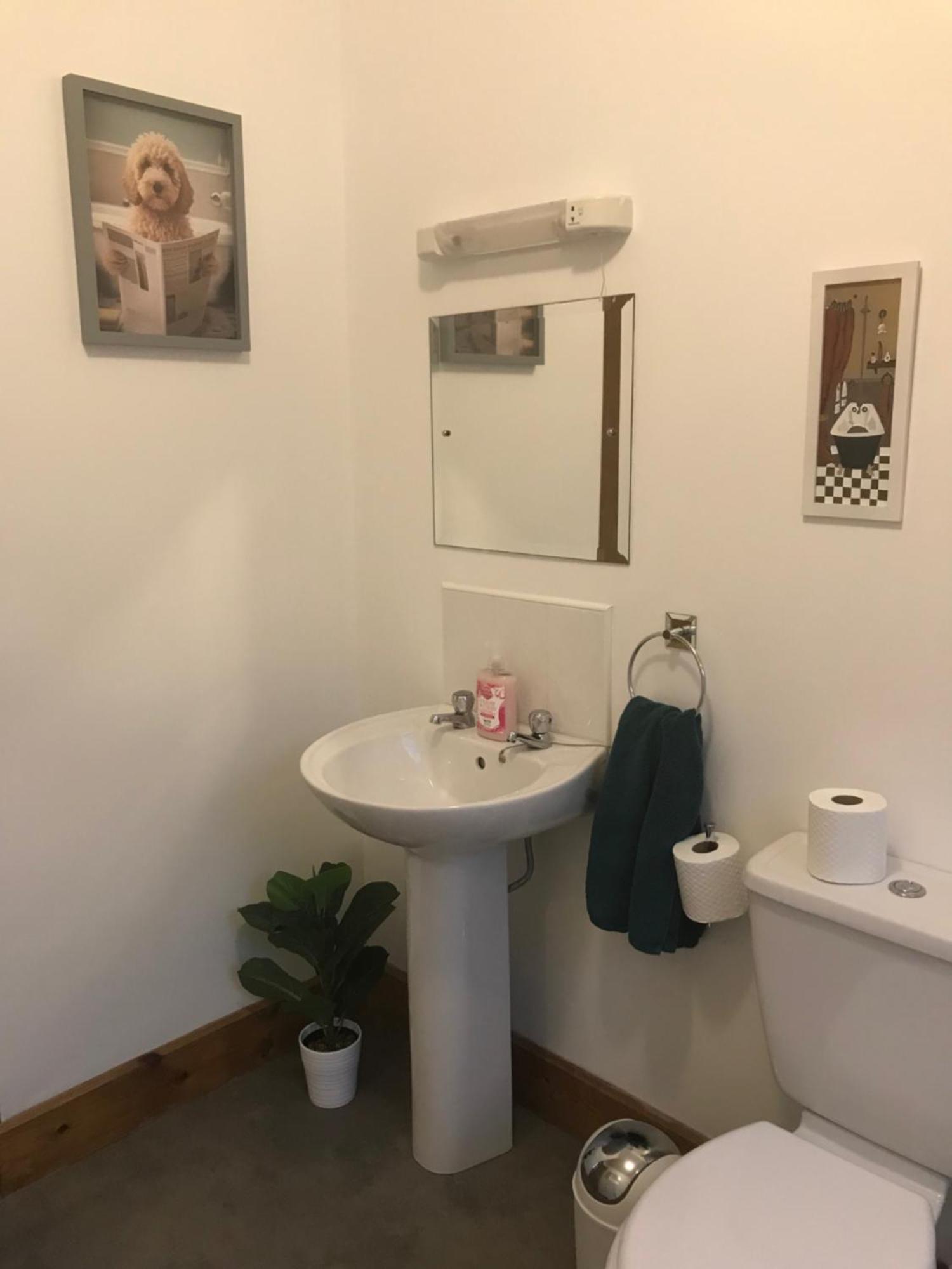 Westport Retreat Apartment מראה חיצוני תמונה